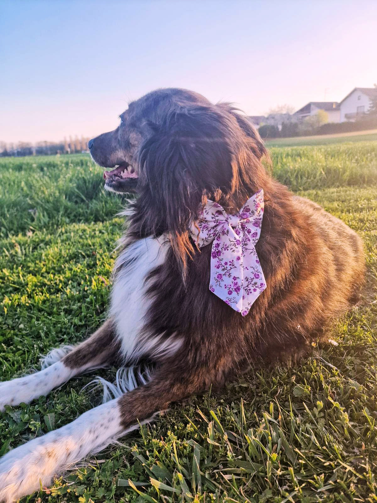 SAILOR BOW - PURPLE JOY