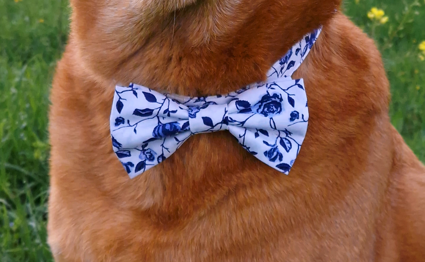 BOW TIE - MEDITERRANEAN
