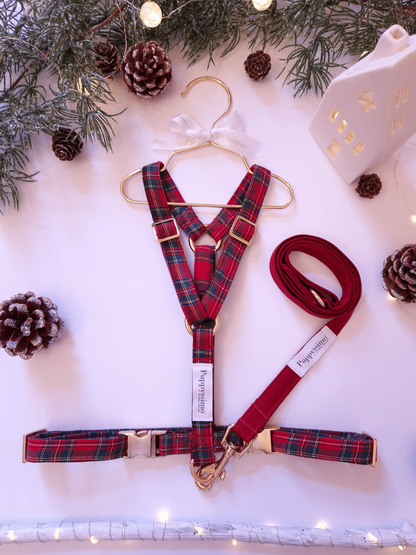 HARNESS - FESTIVE TARTAN