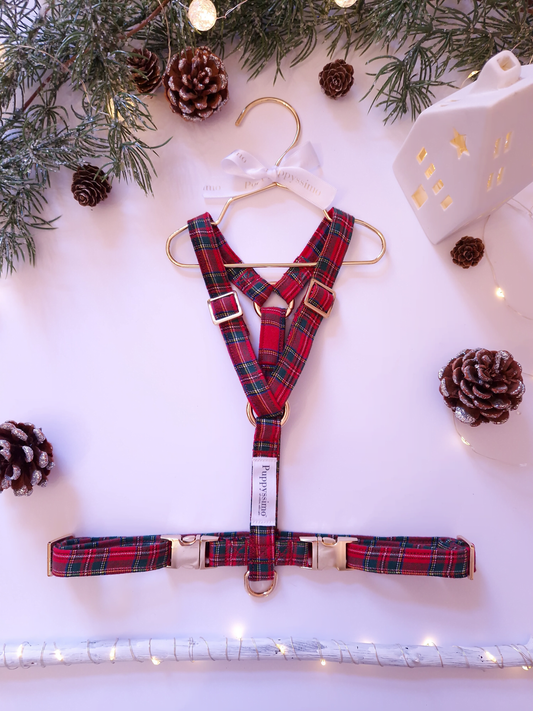 HARNESS - FESTIVE TARTAN