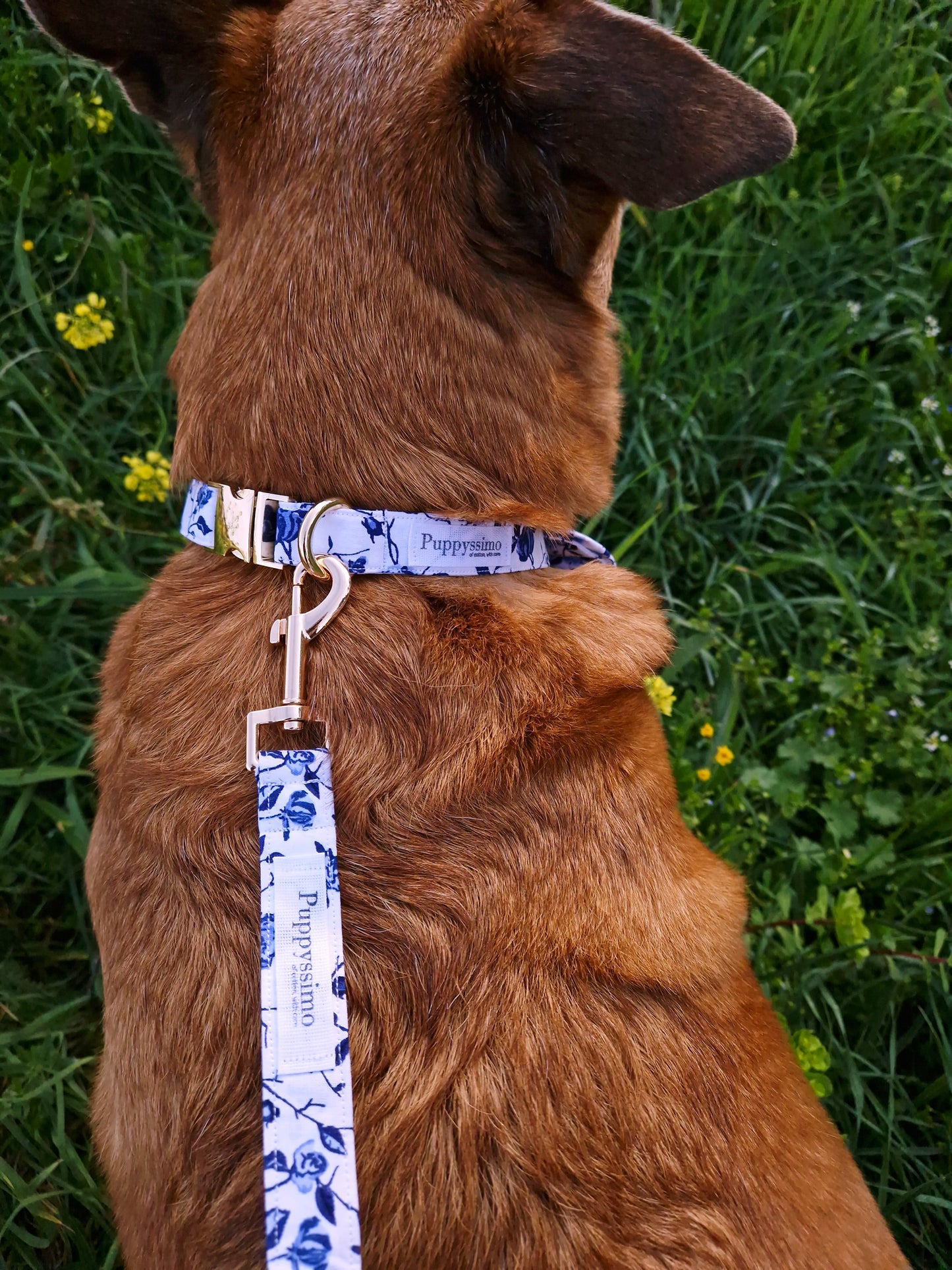 DOG LEASH - MEDITERRANEAN