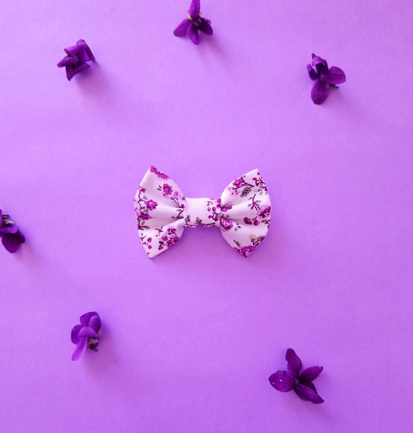 BOW - SMALL DOG ​​- PURPLE JOY