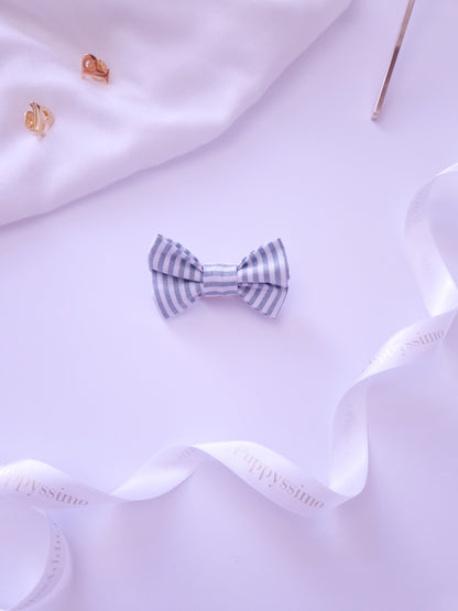 BOW - SMALL DOG ​​- MINTY STRIPES