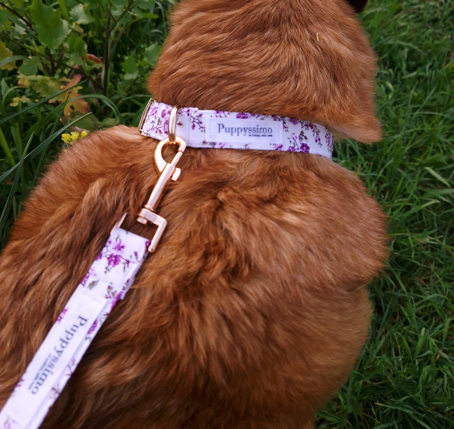 DOG COLLAR - PURPLE JOY
