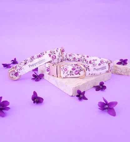 DOG COLLAR - PURPLE JOY