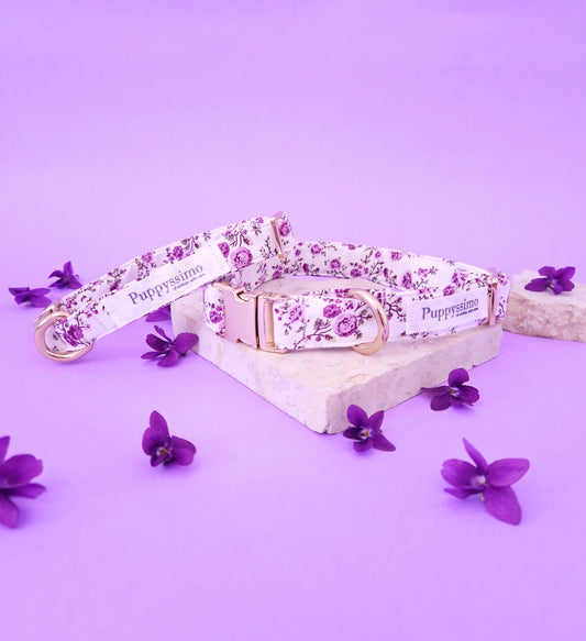 DOG COLLAR - PURPLE JOY