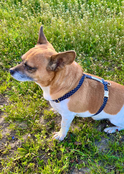 DOG HARNESS - MOONLIGHT