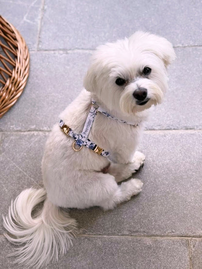 DOG HARNESS - MEDITERRANEAN