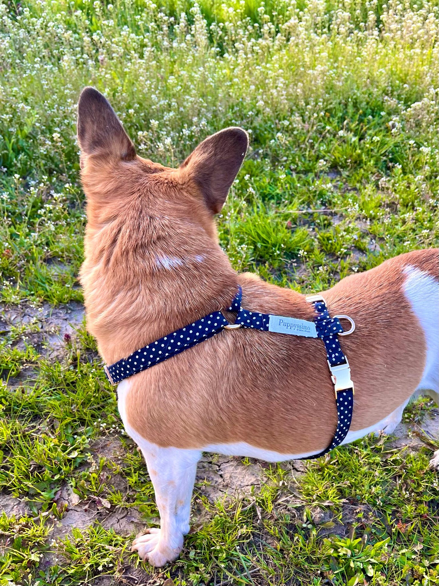 DOG HARNESS - MOONLIGHT