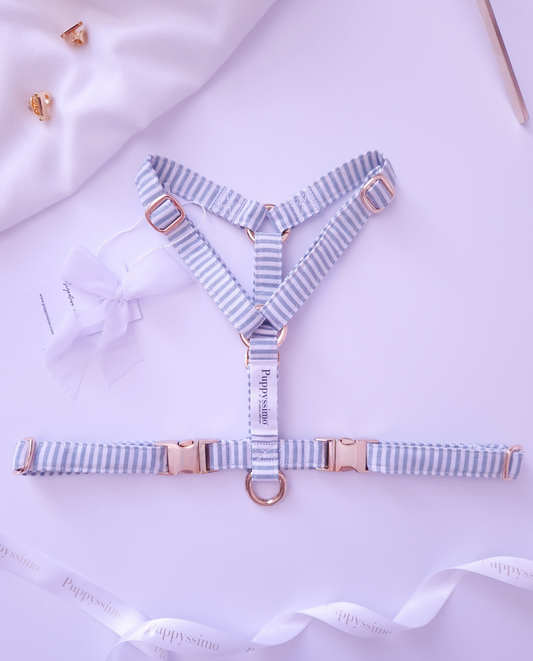 DOG HARNESS - MINTY STRIPES