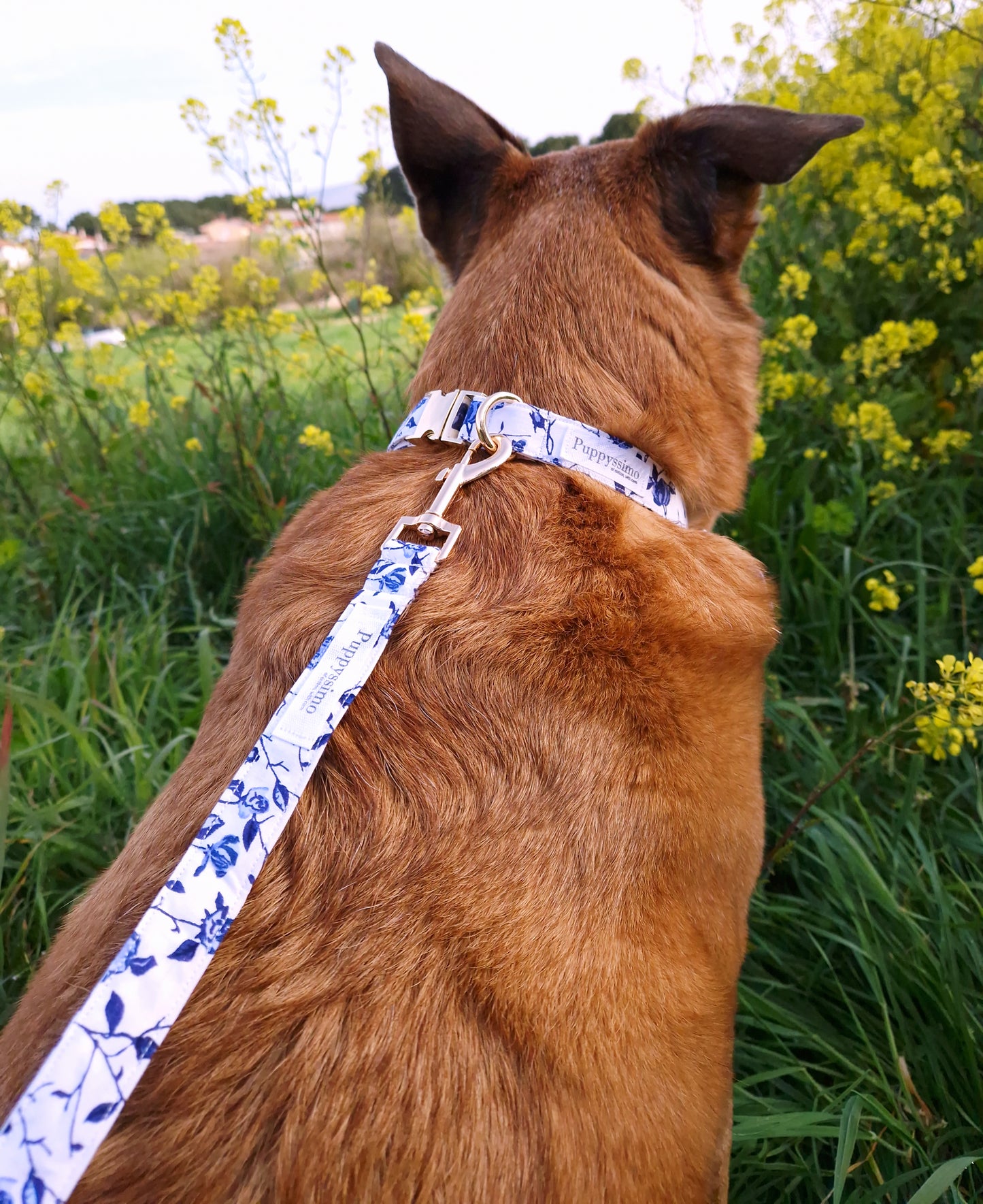 DOG LEASH - MEDITERRANEAN