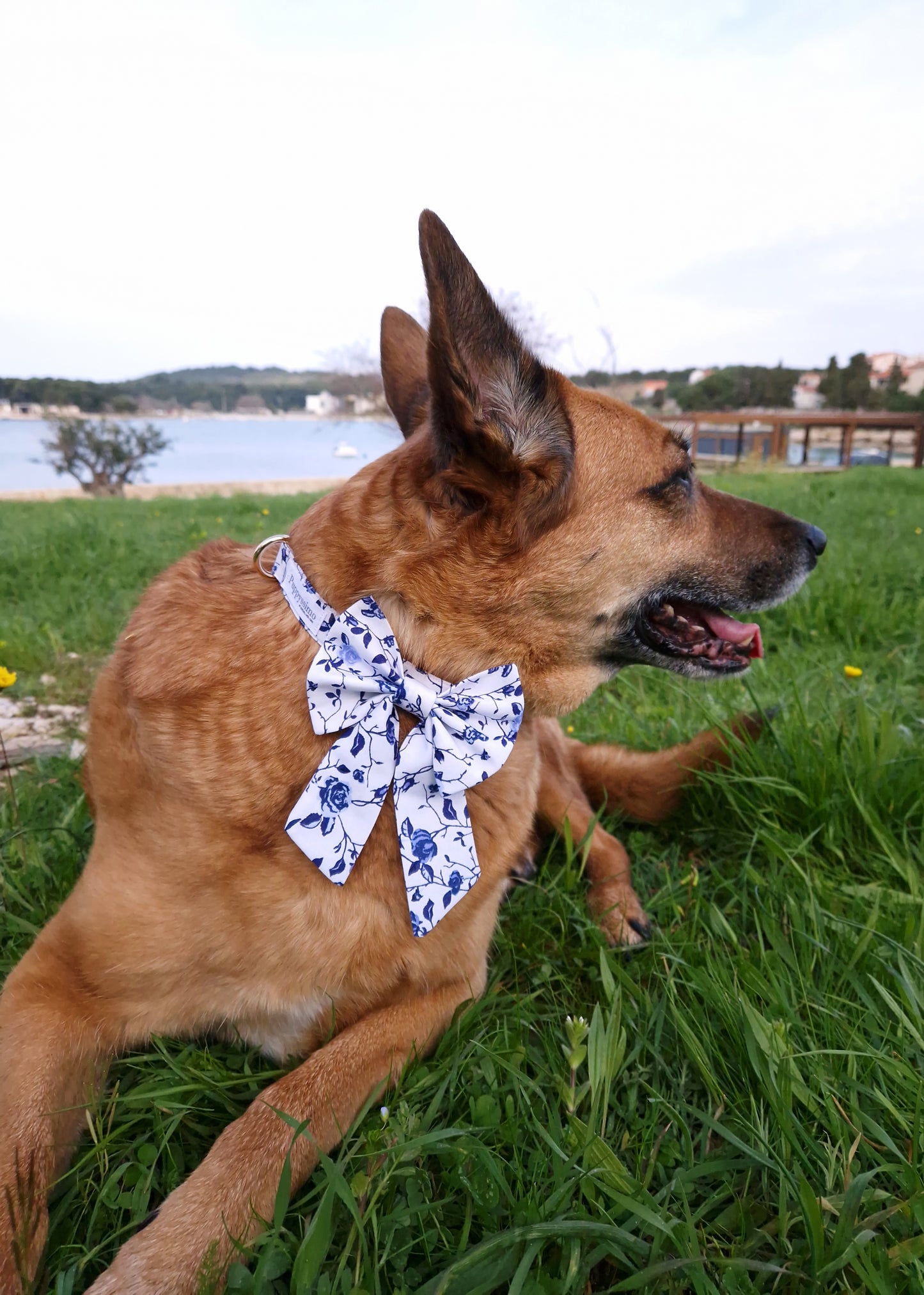 SAILOR BOW - MEDITERRANEAN