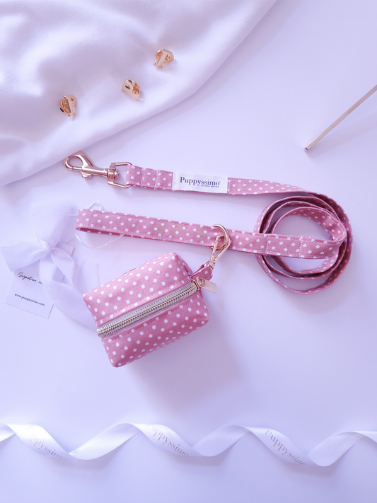 DOG LEASH - DUSTY ROSE DOTS