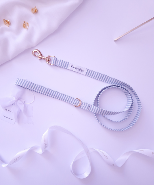 DOG LEASH - MINTY STRIPES