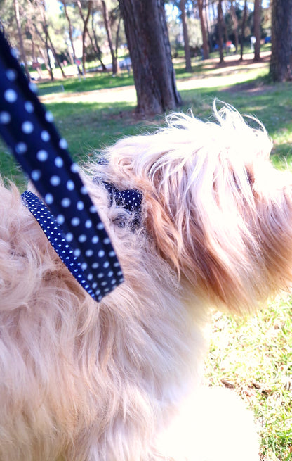 DOG LEASH - MOONLIGHT