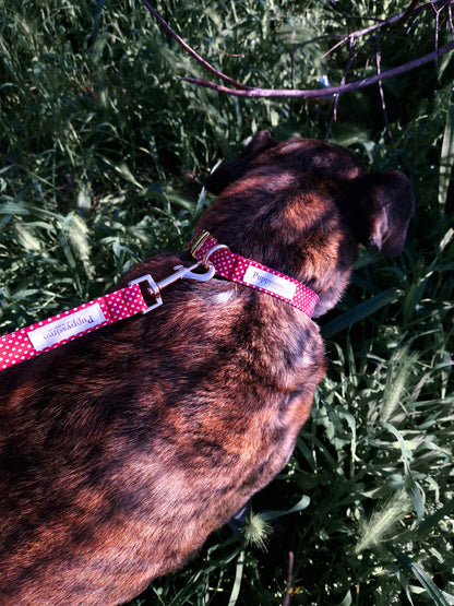 DOG LEASH - POPPY