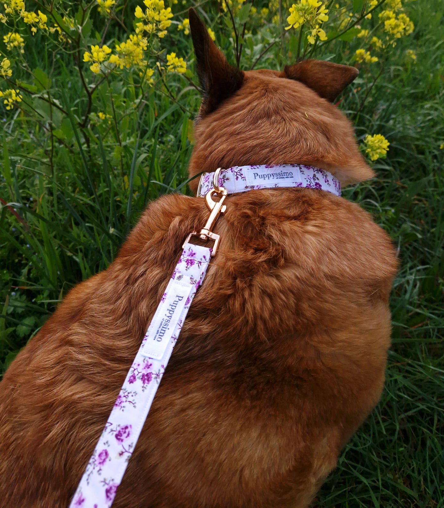 DOG LEASH - PURPLE JOY