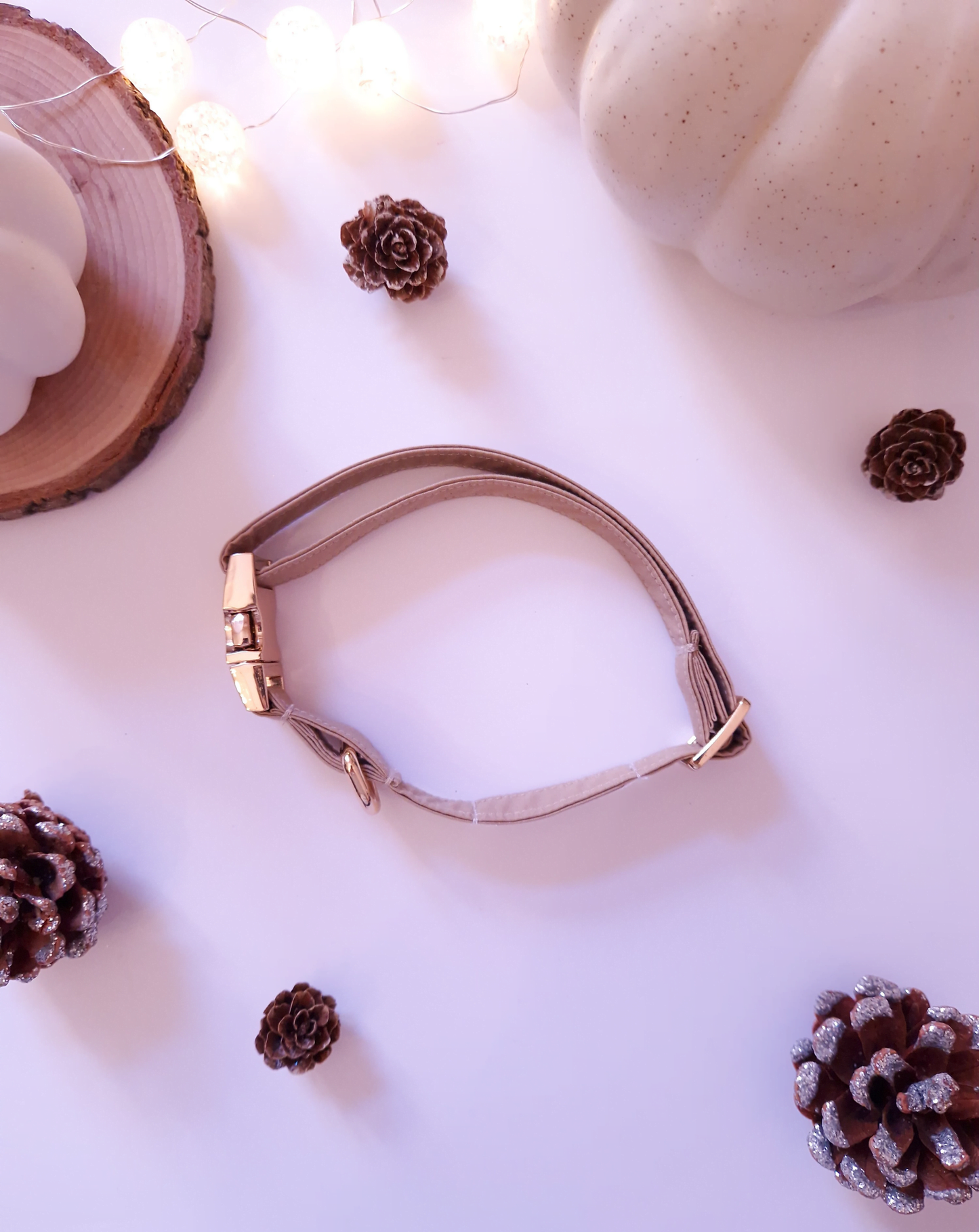 DOG COLLAR - WARM OAT