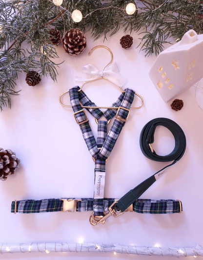 HARNESS - WINTER WONDERLAND