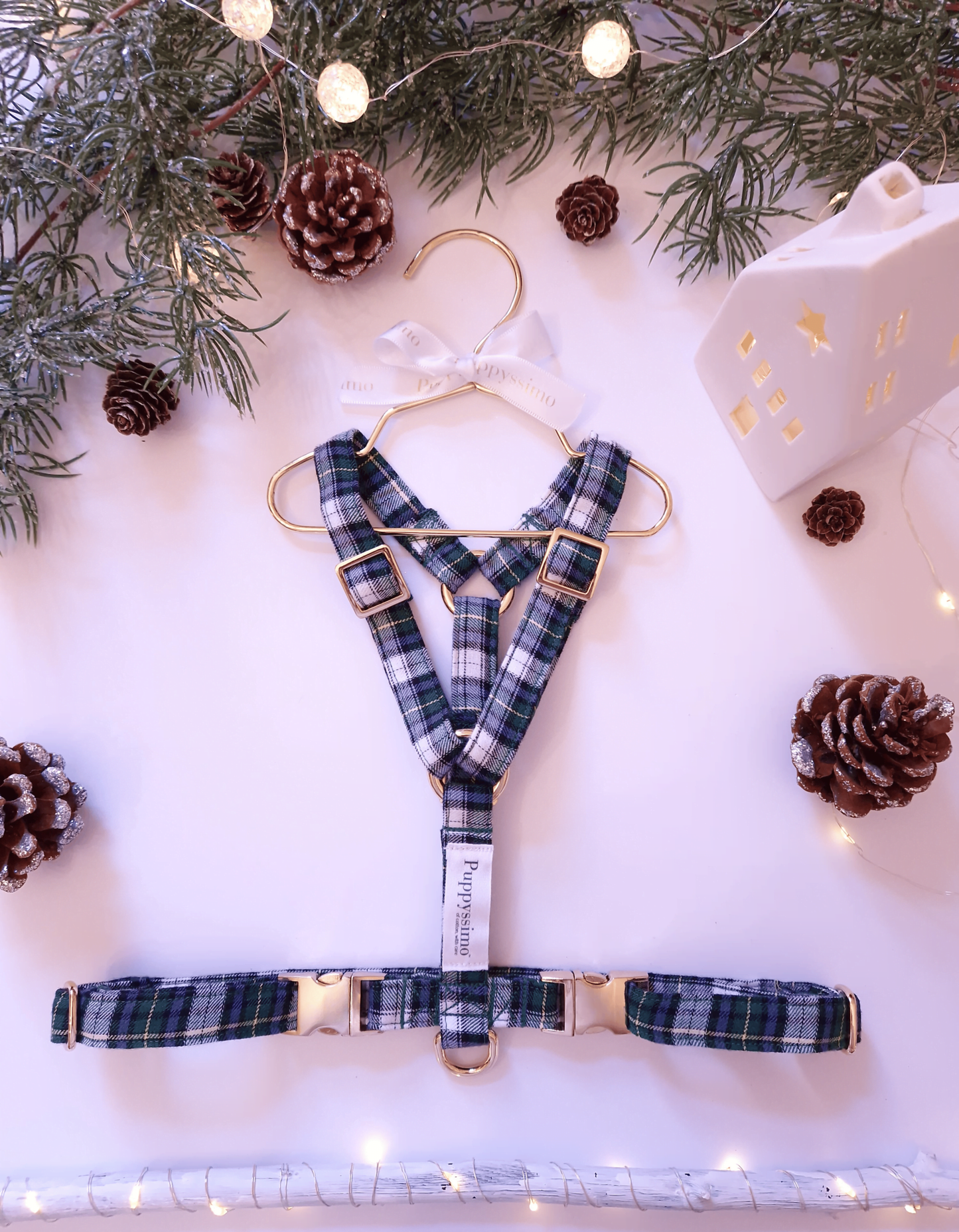 HARNESS - WINTER WONDERLAND